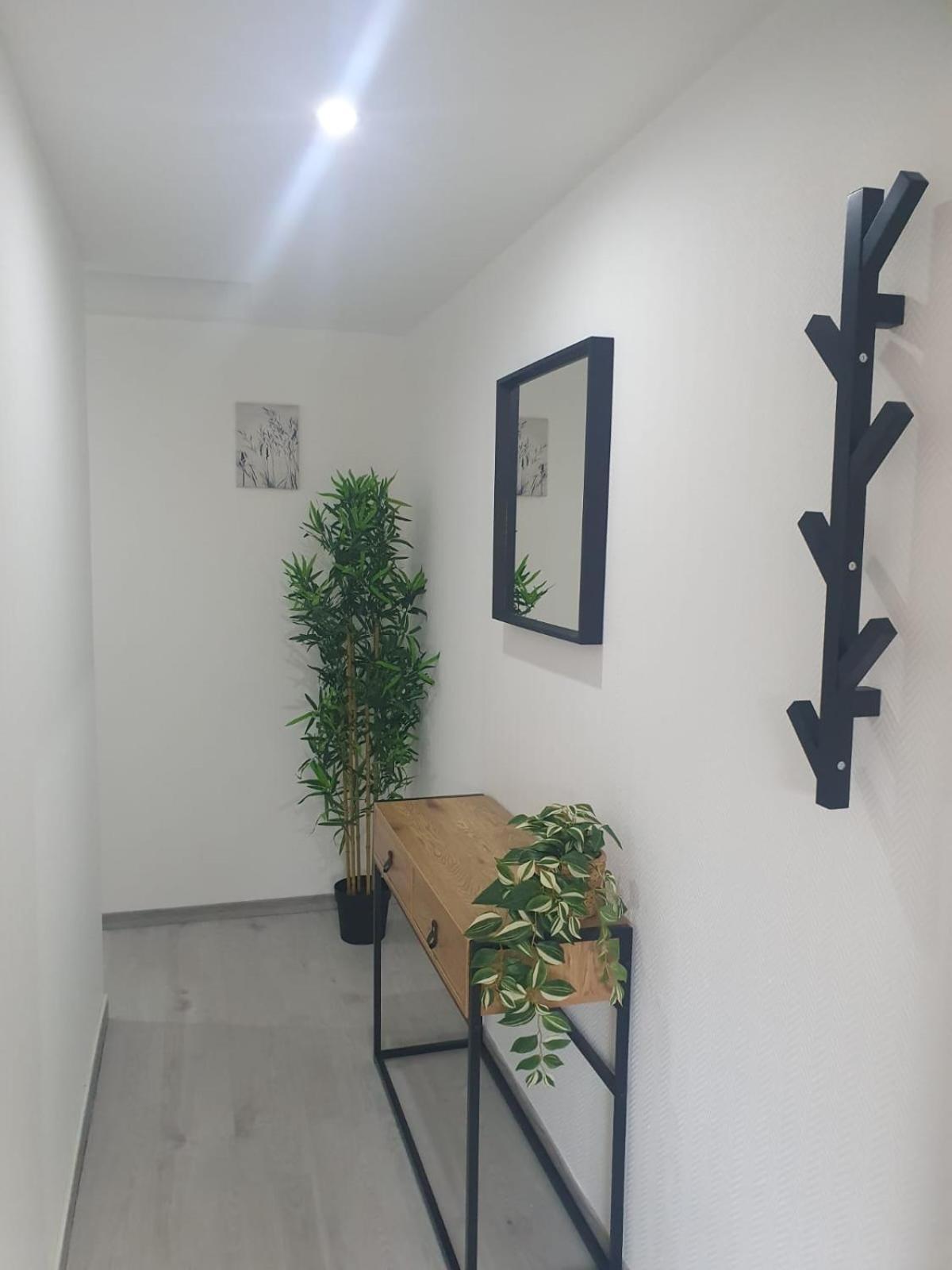 Maison Plain Pied Avec Jardin Вильнёв-ле-Руа Экстерьер фото